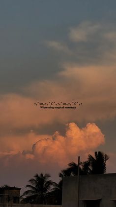 there is a plane that is flying in the sky above some buildings and palm trees