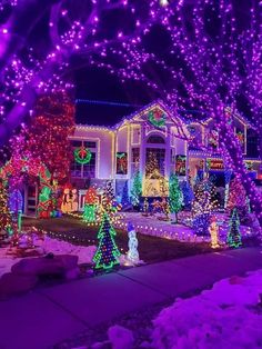 a house covered in christmas lights and trees