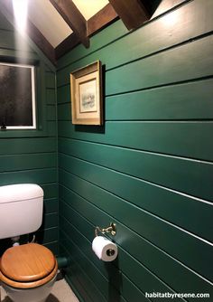 a bathroom with green walls and white toilet in the corner, next to a window