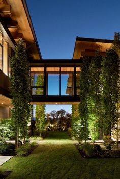 an entrance to a modern house with trees and grass in the front yard at night