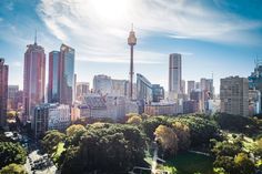 an aerial view of the city skyline with tall buildings and trees in the foreground