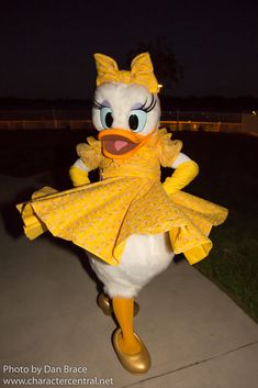 Daisy Disney, Pata Daisy, Flamingo Balloons, Disneyland Characters, Disney Characters Costumes, Mickey Mouse Toys, Walter Elias Disney, Disney World Rides, Donald And Daisy Duck