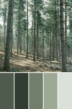 the color palette is green and gray