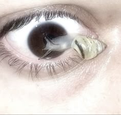 a close up of an eye with a snail on it's iris and the bottom part of the eye visible