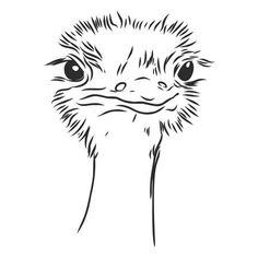 an ostrich's head is drawn in black ink on a white background