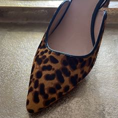 Louise Et Cie Leopard Animal Print Pumps With Ankle Strap (Comfy!) And Slanted Heel (Cute!). Versatile Shoe Pairs Well With Jeans To Sweater Dresses To Pencil Skirts, Perfect For Your Fall Fashion Wardrobe. New. Never Worn. Trendy Brown Slingback Heels, Casual Brown Slingback Pumps With Pointed Toe, Casual Brown Pointed Toe Slingback Pumps, Chic Brown Flat Heel Slingback Pumps, Fur Heels, Black Kitten Heels, Ankle Sandals, Black Shoes Heels, Leopard Heels