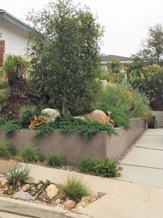 a large planter filled with lots of plants next to a sidewalk in front of a house