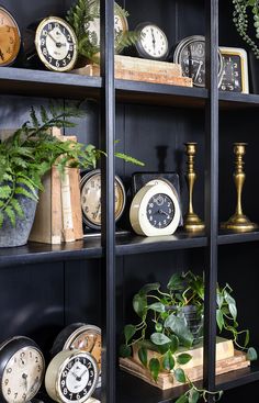 many different types of clocks and plants on shelves