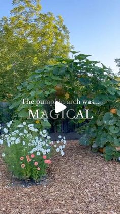 a garden with lots of flowers and plants around it, the words the pump arch was