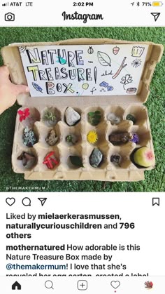 an egg carton filled with rocks and plants