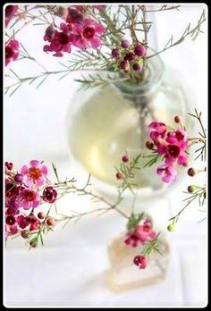 a vase filled with pink flowers sitting on top of a white table covered in water