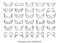 a set of wings in different shapes and sizes