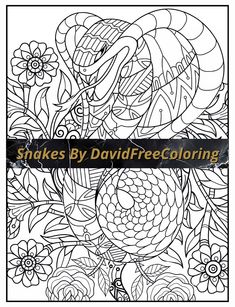 Calling all reptile lovers! Explore our collection of Snake Coloring Pages 🐍🎨 Let's explore the jungle of imagination and add some color to our reptilian friends! 🌿🖌 🤗 Lions And Tigers, Snake Coloring Pages, Little Owls, Adults Coloring, Animals Coloring, Animal Illustrations, Animal Coloring Books