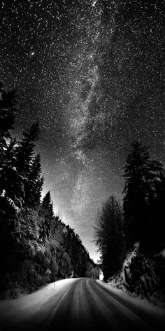 the night sky is filled with stars above trees and snow covered roads in black and white