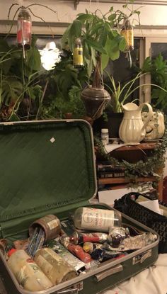 an open suitcase sitting on top of a table filled with plants and other things in it