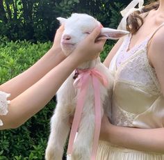 a woman is holding a baby goat in her arms and wearing a pink ribbon around it's neck