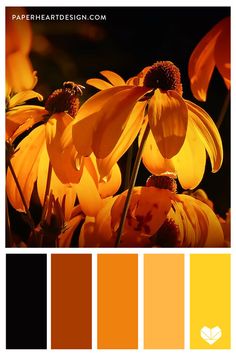 an orange and yellow color scheme with flowers