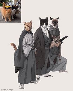 three cats are standing next to each other and one cat is wearing a kimono