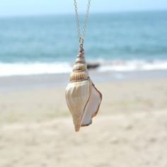 a shell hanging from a chain on the beach