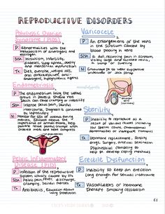 Reproductive disorders nursing notes for nclex Ob Nursing Student Cheat Sheets, Nursing Notes Organization, Medschool Notes, Simple Nursing Study Guides, Nursing School Notes Study Guides, Nclex Study Guide Cheat Sheets, Nursing Major, Med Notes, Nursing Flashcards