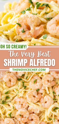 shrimp alfredo with pasta and parsley on the side in a white bowl text overlay reads, oh so creamy the very best shrimp alfredo