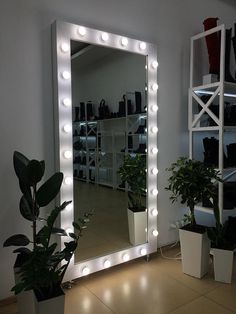 a mirror that is sitting on top of a floor next to some potted plants