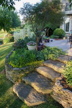 a garden with rocks and plants in it