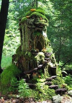 a tree stump with moss growing on it