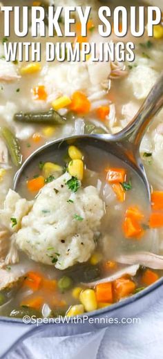 a bowl of turkey soup with dumplings and carrots