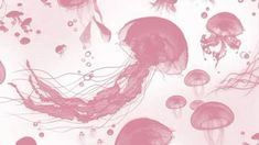 a group of jellyfish floating in the water with pink ink on it's surface