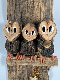 three owls sitting on top of a tree stump