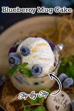 blueberry mug cake ice cream in a bowl