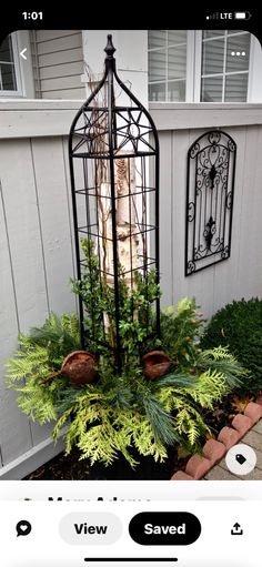 a birdcage filled with lots of green plants