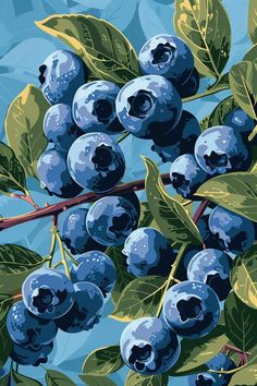 a painting of blueberries on a branch with leaves