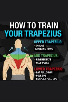 how to train your trapezius for the upper body and lower back muscles?