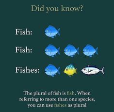 a group of fish swimming next to each other on a green background with the words, did you know?