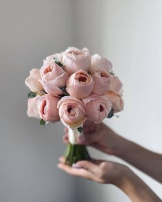 a person holding a bouquet of pink roses