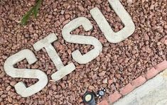 there is a sign that says steu on the ground next to some rocks and plants