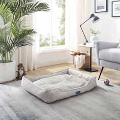 a dog bed in the middle of a living room with a couch, chair and potted plant