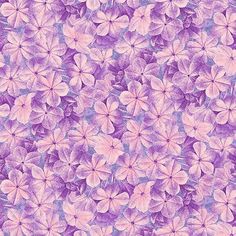 an image of purple flowers on a blue and pink background for wallpaper or fabric