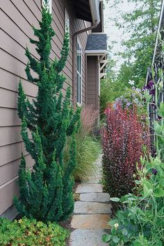 a pathway between two houses with plants and flowers in the foreground, next to each other