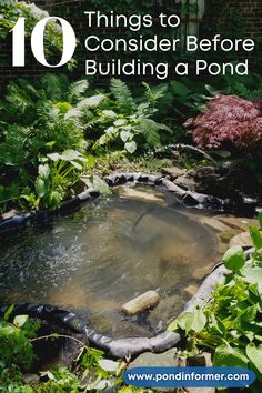 a pond surrounded by greenery with the words 10 things to consider before building a pond