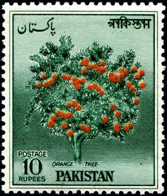 pakistan postage stamp with an orange tree in the middle and arabic writing on the bottom