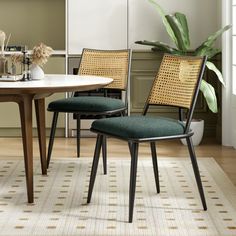 two chairs sitting at a table with a potted plant in the corner on top of it