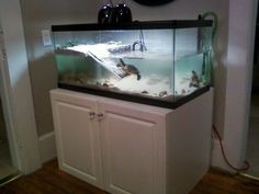 a fish tank sitting on top of a white cabinet