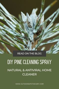 a pine tree with the words, diy pine cleaning spray natural and anti - home cleaner