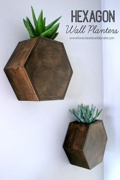 two wooden hexagonal planters with succulents in them on the wall