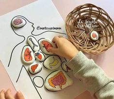 a child's hand touching buttons on top of a piece of paper with an image of the human body