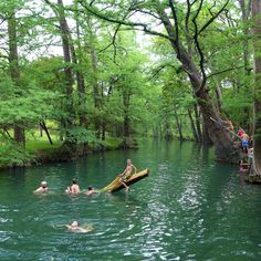 people are swimming in the river with trees around them and one person is on a raft