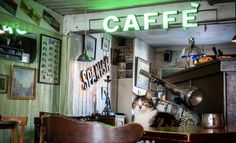 a cat sitting on top of a table next to a green sign that says cafe